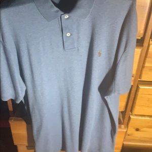 Blue polo brown horse